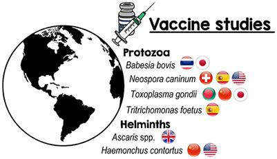 Editorial: Vaccines against parasitic infections in domestic animals